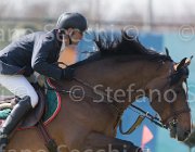Bologni A Amerigo TosTour2013- S5 2551 : Amerigo, Arezzo, Arezzo Equestrian Centre, Bologni Arnaldo, Toscana Tour 2013, foto di Stefano Secchi ©